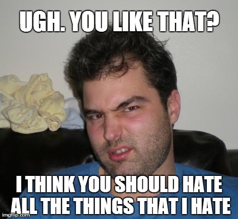 UGH. YOU LIKE THAT? I THINK YOU SHOULD HATE ALL THE THINGS THAT I HATE | image tagged in hater | made w/ Imgflip meme maker