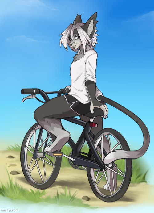 By mocha-wing | image tagged in furry,femboy,cute,adorable,bike | made w/ Imgflip meme maker