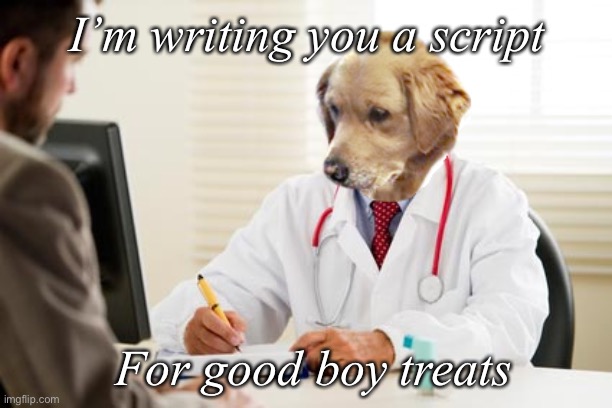 Treats | I’m writing you a script For good boy treats | image tagged in doctor dog no idea what i'm doing,good boy,treats,dog,good dog | made w/ Imgflip meme maker