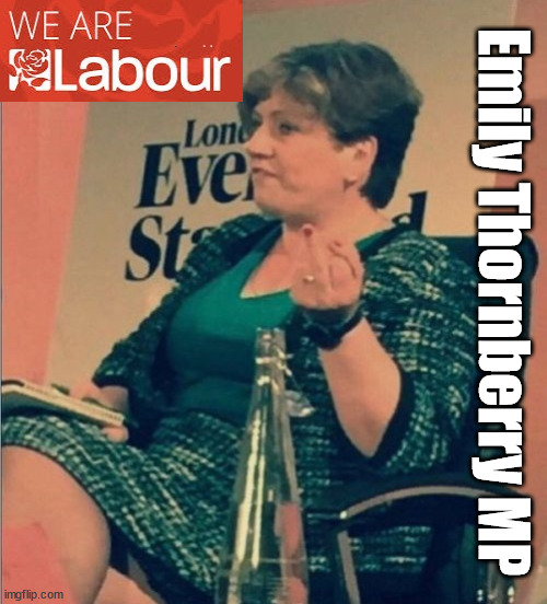 Emily Thornberry - Labour MP | Emily Thornberry MP | image tagged in emily thornberry labour mp,lady nugee,labourisdead,cultofcorbyn,starmerout getstarmerout,we are labour | made w/ Imgflip meme maker