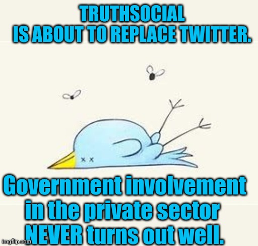 A rude awakening is on the horizon for the pansy-assed left! | TRUTHSOCIAL 
IS ABOUT TO REPLACE TWITTER. Government involvement in the private sector 
NEVER turns out well. | image tagged in twitter,twitter birds says,trump twitter,truthsocial,leftists | made w/ Imgflip meme maker
