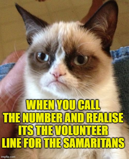 Grumpy Cat Meme | WHEN YOU CALL THE NUMBER AND REALISE ITS THE VOLUNTEER LINE FOR THE SAMARITANS | image tagged in memes,grumpy cat | made w/ Imgflip meme maker