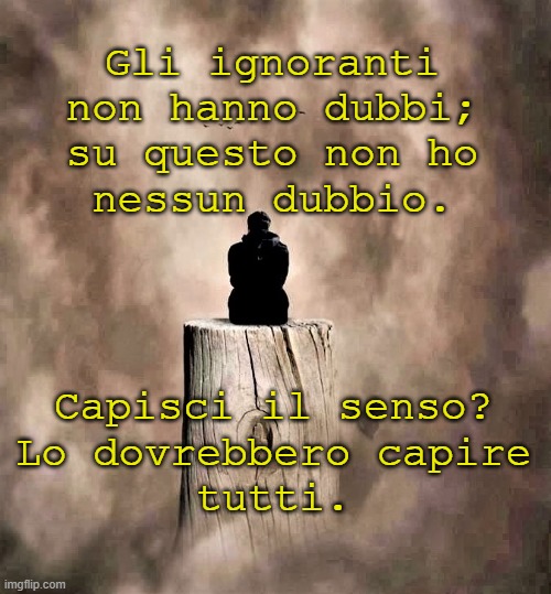 Gli ignoranti
non hanno dubbi;
su questo non ho
nessun dubbio. Capisci il senso?
Lo dovrebbero capire
tutti. | made w/ Imgflip meme maker