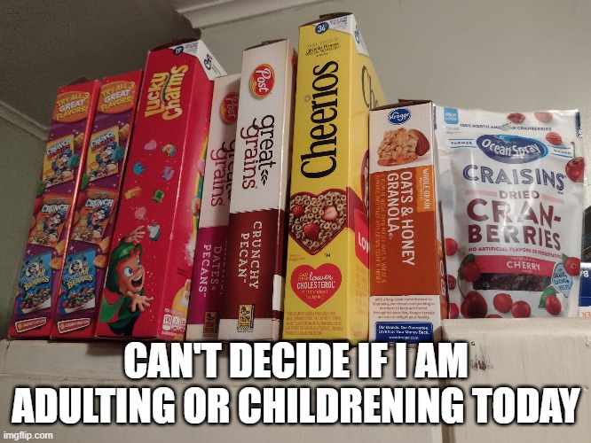 decisions | CAN'T DECIDE IF I AM ADULTING OR CHILDRENING TODAY | image tagged in cereal | made w/ Imgflip meme maker