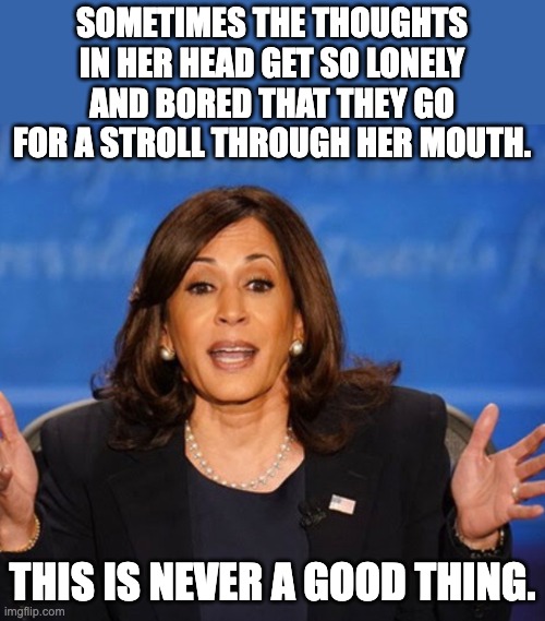 Kamala | SOMETIMES THE THOUGHTS IN HER HEAD GET SO LONELY AND BORED THAT THEY GO FOR A STROLL THROUGH HER MOUTH. THIS IS NEVER A GOOD THING. | image tagged in kamala harris | made w/ Imgflip meme maker