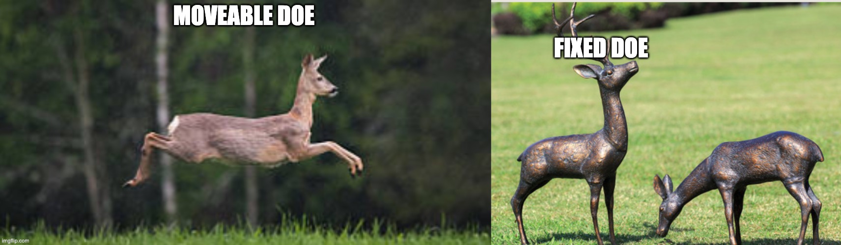 For Musicians Only |  FIXED DOE; MOVEABLE DOE | image tagged in music meme,music,animal music,music humor | made w/ Imgflip meme maker