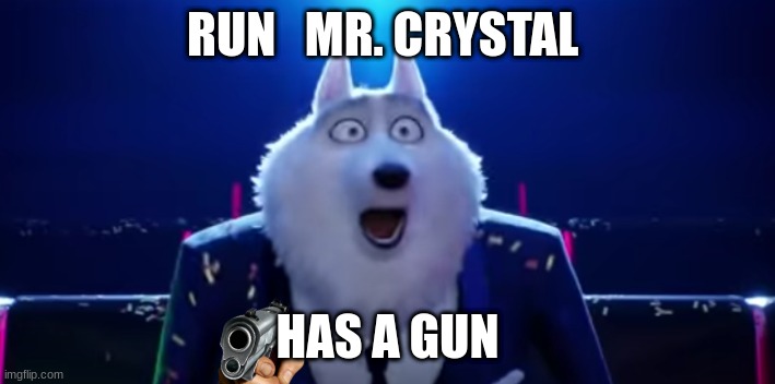 jimmy meme | RUN   MR. CRYSTAL; HAS A GUN | image tagged in sing 2 | made w/ Imgflip meme maker