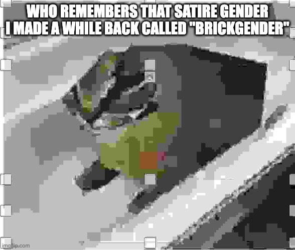 Very low quality floppa | WHO REMEMBERS THAT SATIRE GENDER I MADE A WHILE BACK CALLED "BRICKGENDER" | image tagged in very low quality floppa | made w/ Imgflip meme maker