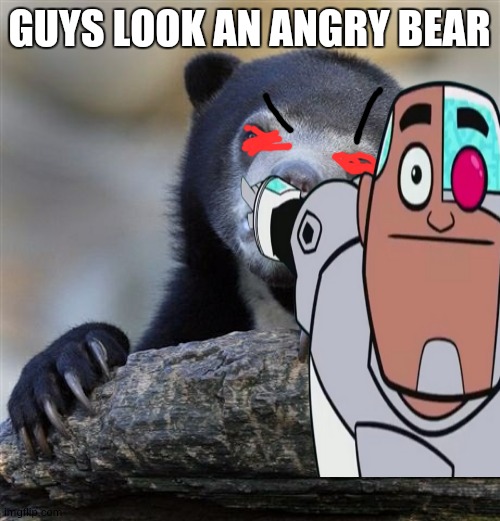 roast the bear (don't roast too much) | GUYS LOOK AN ANGRY BEAR | image tagged in guys look a birdie | made w/ Imgflip meme maker