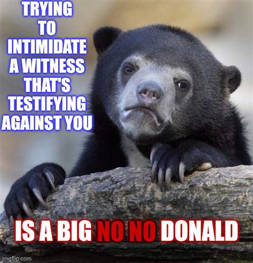 Trump Couldn't Be More Pathetic If He Tried | TRYING TO INTIMIDATE A WITNESS THAT'S TESTIFYING AGAINST YOU; IS A BIG NO NO DONALD; NO NO | image tagged in memes,confession bear,pathetic,donald trump is an idiot,trump is a moron,special kind of stupid | made w/ Imgflip meme maker