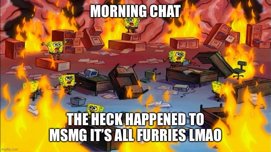 Morning chat… wait… | MORNING CHAT; THE HECK HAPPENED TO MSMG IT’S ALL FURRIES LMAO | image tagged in spongebobs panicking | made w/ Imgflip meme maker