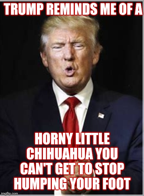Nobody Likes A Wormy Dog | TRUMP REMINDS ME OF A; HORNY LITTLE CHIHUAHUA YOU CAN'T GET TO STOP HUMPING YOUR FOOT | image tagged in memes,disgusting,nasty man,deplorable donald,special kind of stupid,rapey kind of guy | made w/ Imgflip meme maker