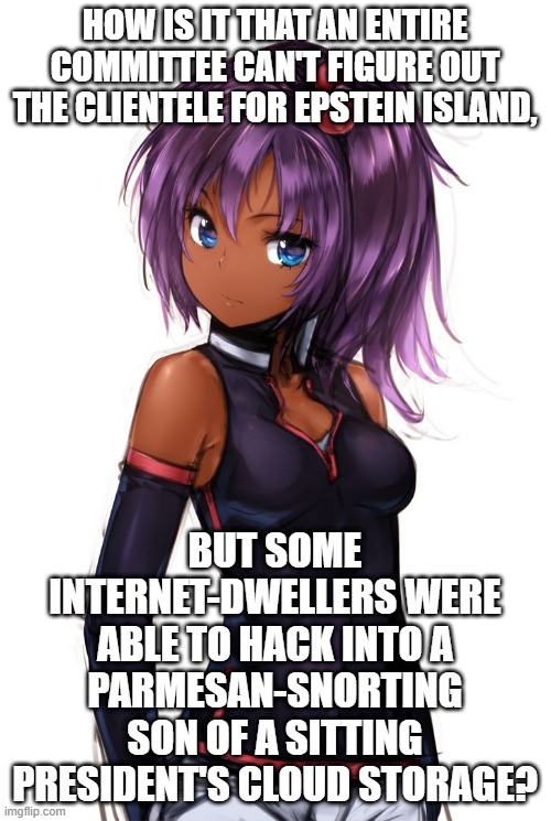 Cute Anime Girl with Blue Eyes and Purple Hair | HOW IS IT THAT AN ENTIRE COMMITTEE CAN'T FIGURE OUT THE CLIENTELE FOR EPSTEIN ISLAND, BUT SOME INTERNET-DWELLERS WERE ABLE TO HACK INTO A PARMESAN-SNORTING SON OF A SITTING PRESIDENT'S CLOUD STORAGE? | image tagged in cute anime girl with blue eyes and purple hair | made w/ Imgflip meme maker