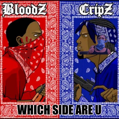 Blood and Crip | WHICH SIDE ARE U | image tagged in blood and crip | made w/ Imgflip meme maker