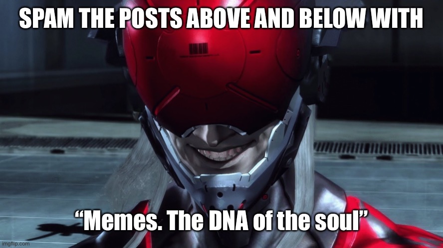 Idk | SPAM THE POSTS ABOVE AND BELOW WITH; “Memes. The DNA of the soul” | image tagged in monsoon | made w/ Imgflip meme maker