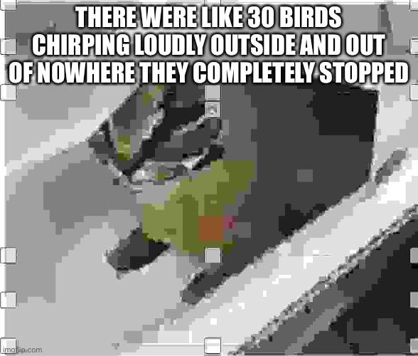Very low quality floppa | THERE WERE LIKE 30 BIRDS CHIRPING LOUDLY OUTSIDE AND OUT OF NOWHERE THEY COMPLETELY STOPPED | image tagged in very low quality floppa | made w/ Imgflip meme maker