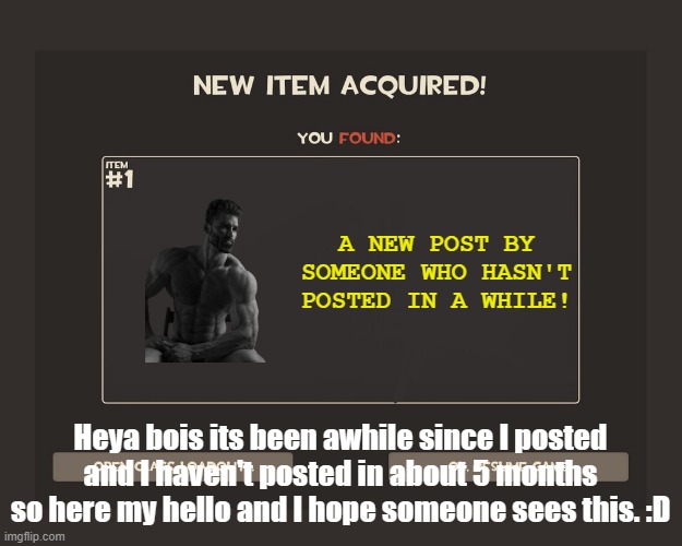 hi guys its been awhile | A NEW POST BY SOMEONE WHO HASN'T POSTED IN A WHILE! Heya bois its been awhile since I posted and I haven't posted in about 5 months so here my hello and I hope someone sees this. :D | image tagged in you got tf2 shit | made w/ Imgflip meme maker