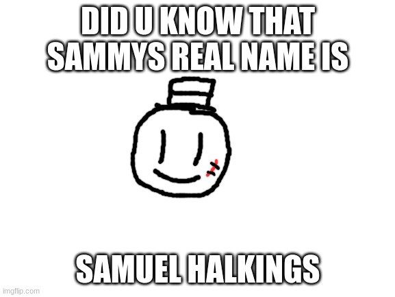 heres some fax for ya | DID U KNOW THAT SAMMYS REAL NAME IS; SAMUEL HALKINGS | image tagged in blank white template,sammy,memes,funny,drawing,samuel | made w/ Imgflip meme maker