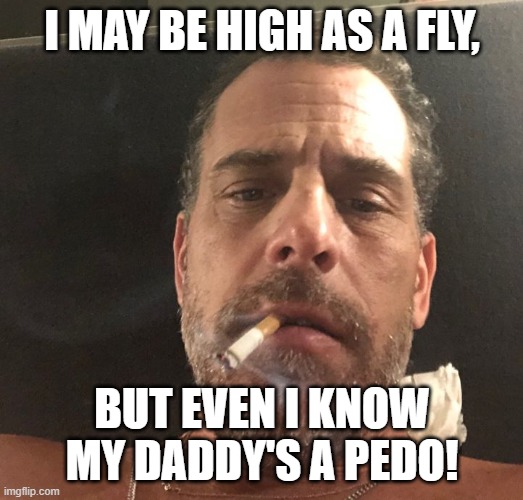 Hunter Biden | I MAY BE HIGH AS A FLY, BUT EVEN I KNOW MY DADDY'S A PEDO! | image tagged in hunter biden | made w/ Imgflip meme maker