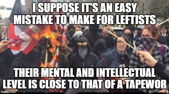 Antifa Democrat Leftist Terrorist | I SUPPOSE IT'S AN EASY MISTAKE TO MAKE FOR LEFTISTS THEIR MENTAL AND INTELLECTUAL LEVEL IS CLOSE TO THAT OF A TAPEWOR | image tagged in antifa democrat leftist terrorist | made w/ Imgflip meme maker