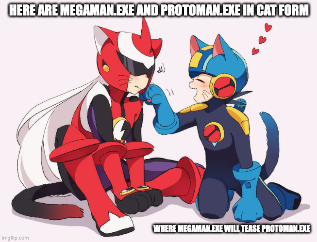 Cat MegaMan.EXE and ProtoMan.EXE | HERE ARE MEGAMAN.EXE AND PROTOMAN.EXE IN CAT FORM; WHERE MEGAMAN.EXE WILL TEASE PROTOMAN.EXE | image tagged in megaman,megamanexe,protomanexe,cats,memes | made w/ Imgflip meme maker
