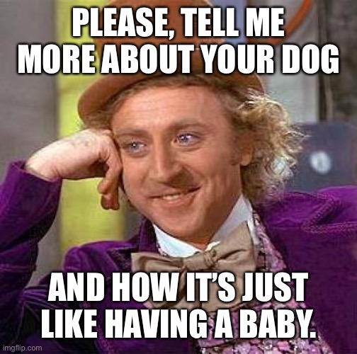 Just like my dog |  PLEASE, TELL ME MORE ABOUT YOUR DOG; AND HOW IT’S JUST LIKE HAVING A BABY. | image tagged in memes,creepy condescending wonka | made w/ Imgflip meme maker