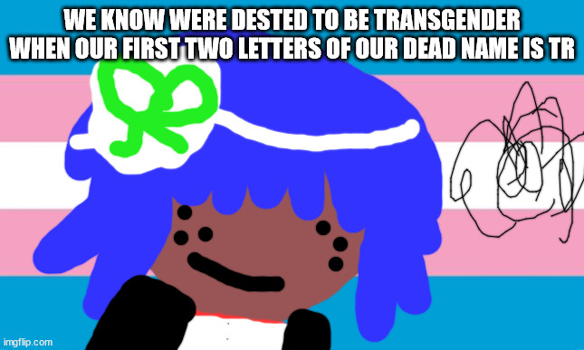 TRANS GIRL STUFF | WE KNOW WERE DESTED TO BE TRANSGENDER WHEN OUR FIRST TWO LETTERS OF OUR DEAD NAME IS TR | image tagged in transgender | made w/ Imgflip meme maker