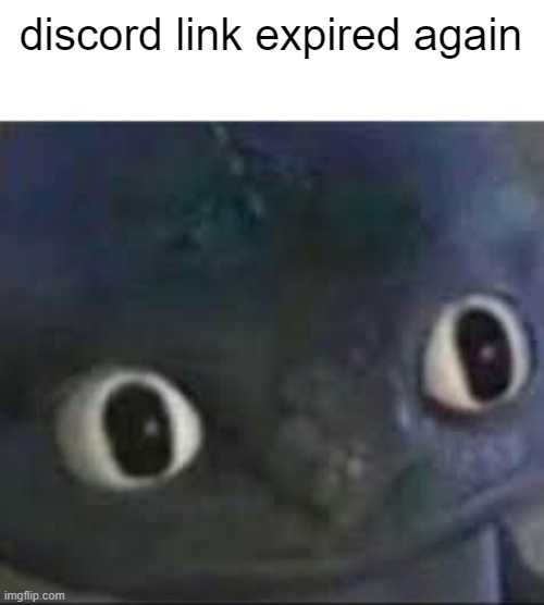 Toothless ._. face | discord link expired again | image tagged in toothless _ face | made w/ Imgflip meme maker