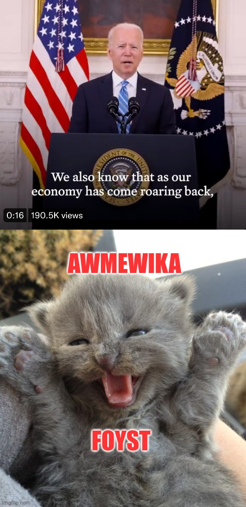 Inflation up 9.1% wages up 5.1%You have 4% less money then last year | AWMEWIKA; FOYST | image tagged in yay kitty,economy,inflation,america first,joe biden,i did the math | made w/ Imgflip meme maker