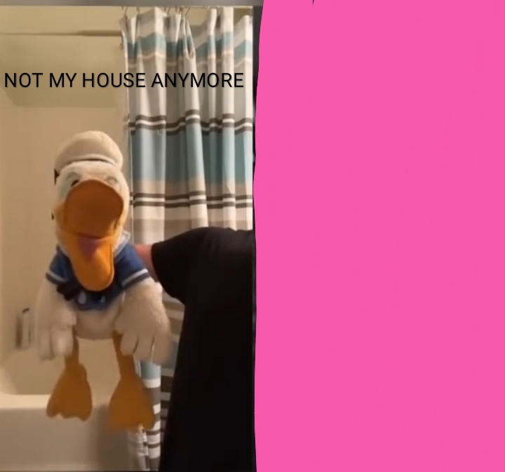 DoNaLdDuCc NOT MY HOUSE ANYMORE Blank Meme Template