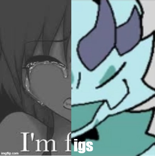 fig!1 | igs | made w/ Imgflip meme maker