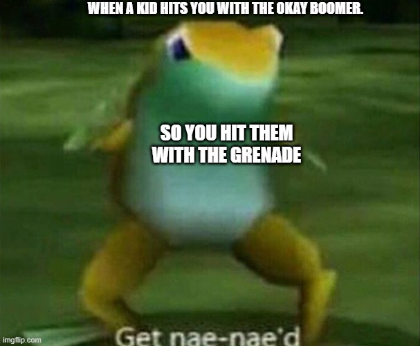 Get nae-nae'd | WHEN A KID HITS YOU WITH THE OKAY BOOMER. SO YOU HIT THEM WITH THE GRENADE | image tagged in get nae-nae'd | made w/ Imgflip meme maker