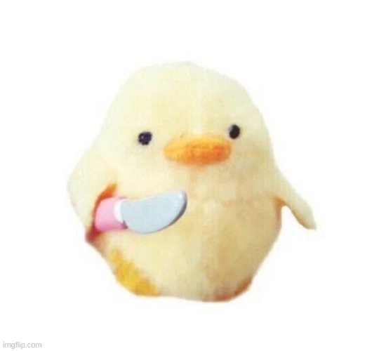 Duck with knife | image tagged in duck with knife | made w/ Imgflip meme maker