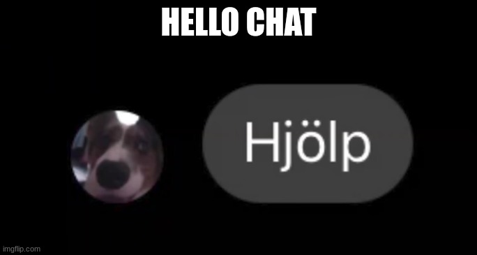 Hjölp | HELLO CHAT | image tagged in hj lp | made w/ Imgflip meme maker