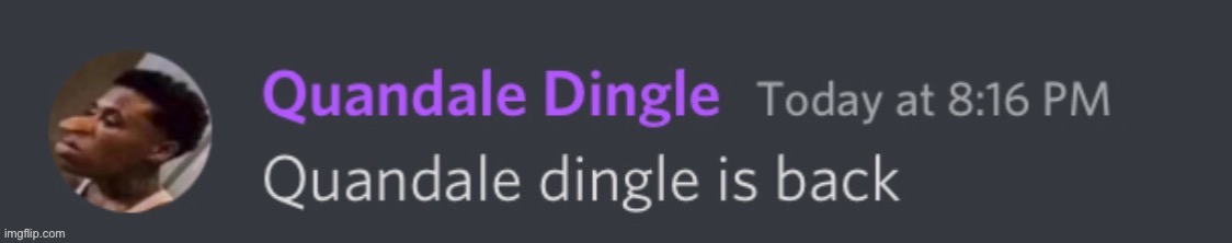 quandal dingle is back | image tagged in quandal dingle is back | made w/ Imgflip meme maker