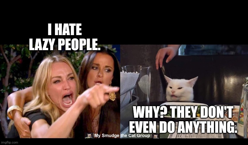 I HATE LAZY PEOPLE. WHY? THEY DON'T EVEN DO ANYTHING. | image tagged in smudge the cat,woman yelling at cat,funny memes | made w/ Imgflip meme maker
