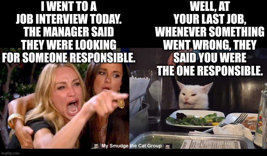 I WENT TO A JOB INTERVIEW TODAY. THE MANAGER SAID THEY WERE LOOKING FOR SOMEONE RESPONSIBLE. WELL, AT YOUR LAST JOB, WHENEVER SOMETHING WENT WRONG, THEY SAID YOU WERE THE ONE RESPONSIBLE. | image tagged in smudge the cat,woman yelling at cat,funny memes | made w/ Imgflip meme maker