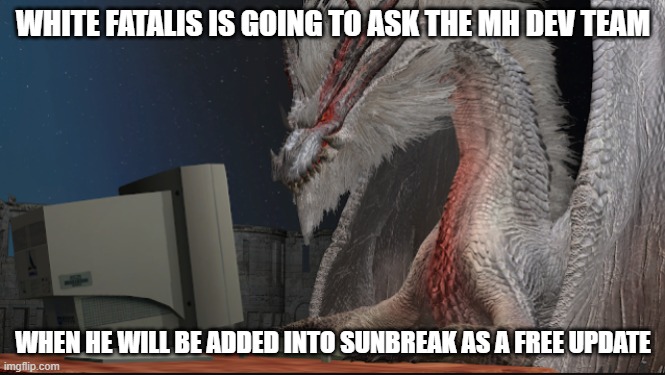 White Fatalis at a computer | WHITE FATALIS IS GOING TO ASK THE MH DEV TEAM; WHEN HE WILL BE ADDED INTO SUNBREAK AS A FREE UPDATE | image tagged in monster hunter memes,funny | made w/ Imgflip meme maker