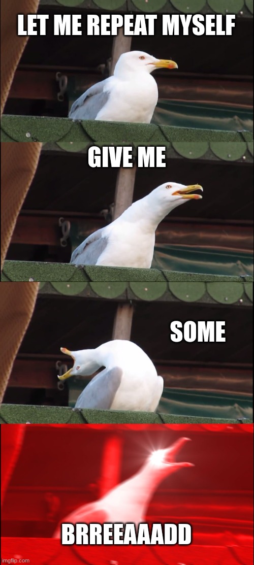 bred | LET ME REPEAT MYSELF; GIVE ME; SOME; BRREEAAADD | image tagged in memes,inhaling seagull | made w/ Imgflip meme maker