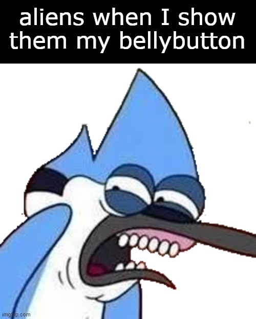 disgusted mordecai | aliens when I show them my bellybutton | image tagged in disgusted mordecai | made w/ Imgflip meme maker