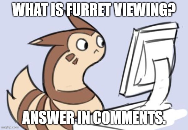 Easy answer. My profile, lol | WHAT IS FURRET VIEWING? ANSWER IN COMMENTS. | made w/ Imgflip meme maker