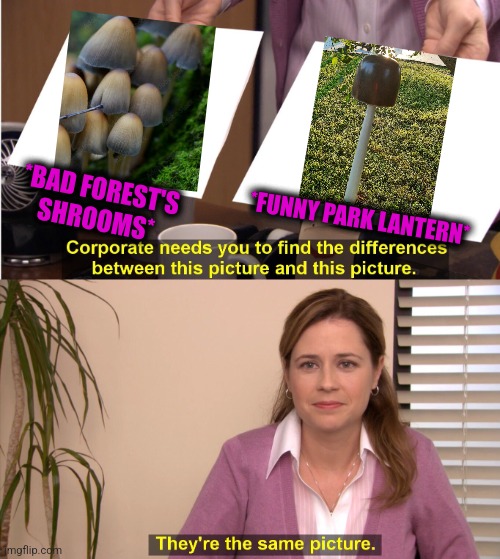 -Don't try on tooth! | *BAD FOREST'S SHROOMS*; *FUNNY PARK LANTERN* | image tagged in memes,they're the same picture,magic mushrooms,green lantern,parks and rec,totally looks like | made w/ Imgflip meme maker