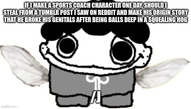 Flylos Or Something | IF I MAKE A SPORTS COACH CHARACTER ONE DAY, SHOULD I STEAL FROM A TUMBLR POST I SAW ON REDDIT AND MAKE HIS ORIGIN STORY THAT HE BROKE HIS GENITALS AFTER BEING BALLS DEEP IN A SQUEALING HOG; /J | image tagged in flylos or something | made w/ Imgflip meme maker