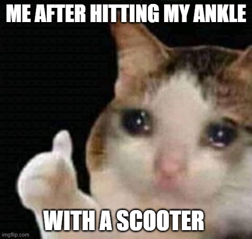 sad thumbs up cat | ME AFTER HITTING MY ANKLE; WITH A SCOOTER | image tagged in sad thumbs up cat | made w/ Imgflip meme maker