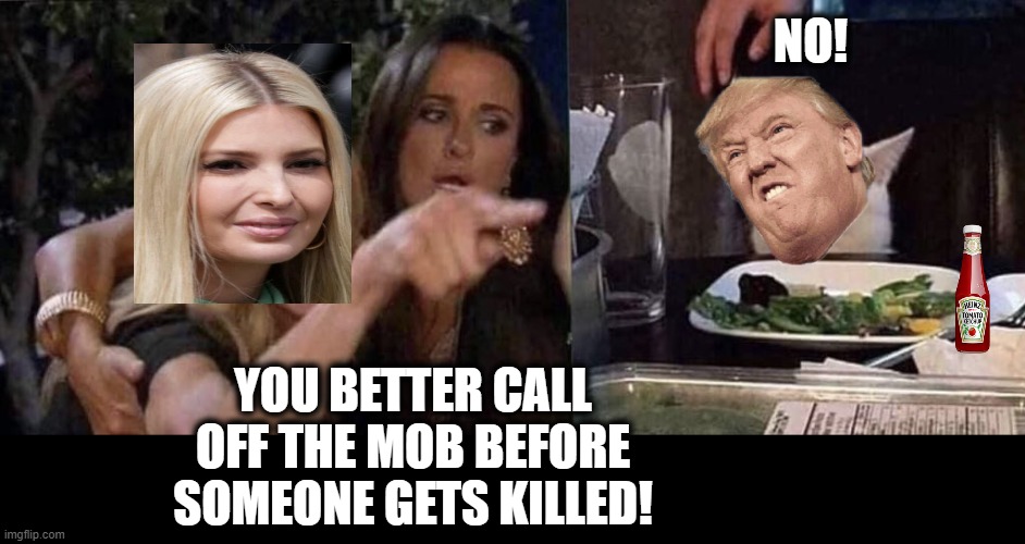 Trump is a traitor, there is no other word for it, he can not be allowed to walk away from it. | NO! YOU BETTER CALL OFF THE MOB BEFORE SOMEONE GETS KILLED! | image tagged in woman yelling at cat,lock him up,memes,traitor,treason,politics | made w/ Imgflip meme maker