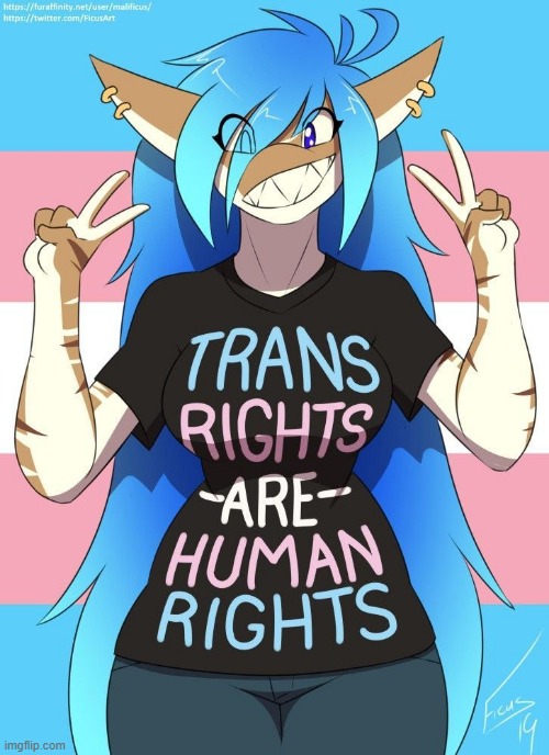 Art by @FicusArt on Twitter, I don't support trans rights, but I'm sure it's important, in some way. | made w/ Imgflip meme maker