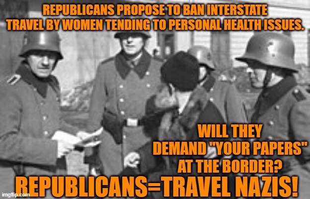 So much for the party of "personal freedom!" | REPUBLICANS PROPOSE TO BAN INTERSTATE TRAVEL BY WOMEN TENDING TO PERSONAL HEALTH ISSUES. WILL THEY DEMAND "YOUR PAPERS" AT THE BORDER? REPUBLICANS=TRAVEL NAZIS! | image tagged in politics | made w/ Imgflip meme maker