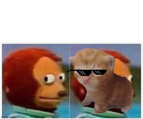 Monkey Puppet | image tagged in memes,monkey puppet | made w/ Imgflip meme maker