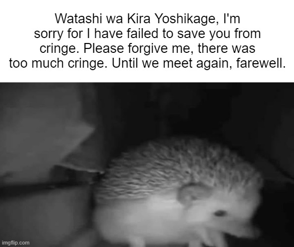 RIP Kira the Hedgehog | Watashi wa Kira Yoshikage, I'm sorry for I have failed to save you from cringe. Please forgive me, there was too much cringe. Until we meet again, farewell. | image tagged in kira,hedgehog,dies from cringe | made w/ Imgflip meme maker