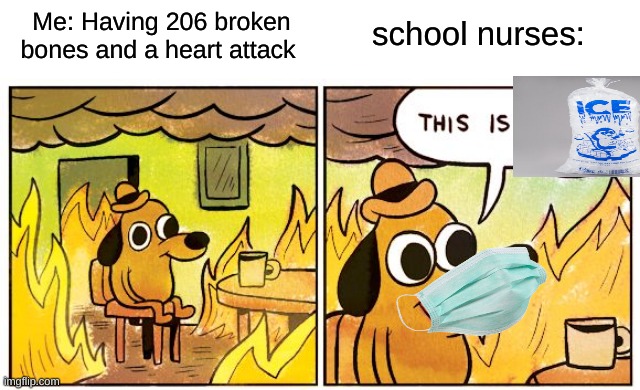 Ice is life | school nurses:; Me: Having 206 broken bones and a heart attack | image tagged in memes,this is fine | made w/ Imgflip meme maker